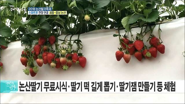 딸기 향과 멋이 가득! 2018 논산딸기축제