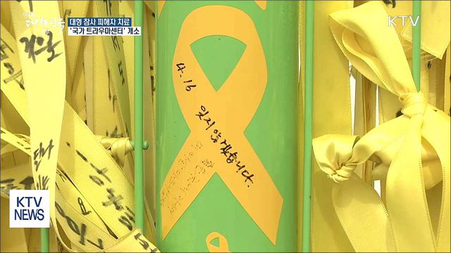 대형 재난 피해자 치료 '국가 트라우마센터'