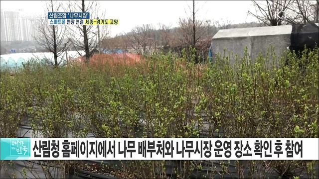 다 함께 가꾸는 숲 속 대한민국! 산림조합 '나무시장'