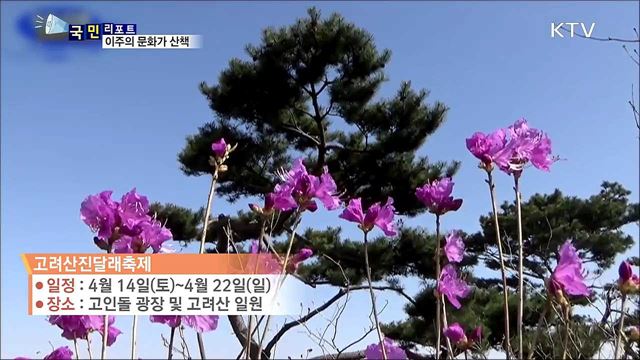 이 주의 문화가 산책