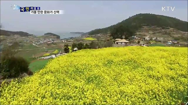 이 주의 문화가 산책(18. 04. 12. 8시)