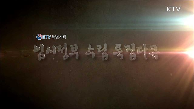 다시 백 년의 약속