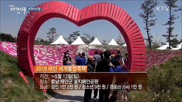 발길 닿는 곳마다 꽃내음..."봄꽃의 향연으로 초대" [문화브리핑]