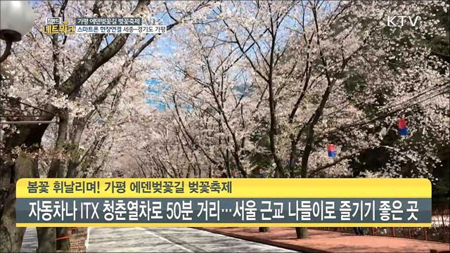 스마트 네트워크 (85회)