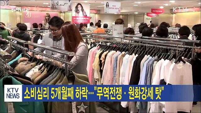 소비심리 5개월째 하락..."무역전쟁·원화강세 탓"