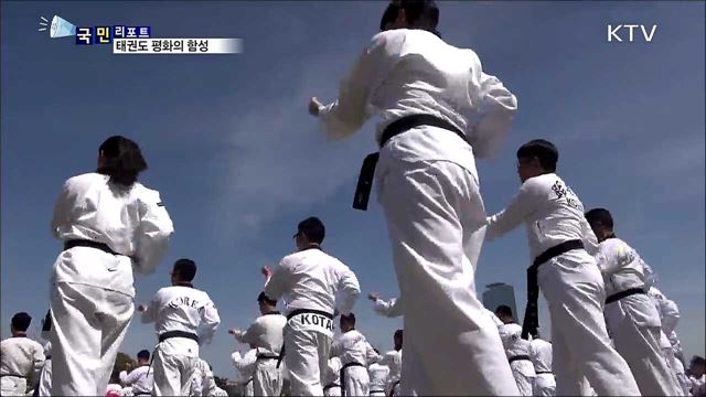 8,800명 집단 태권 품새...기네스 기록 등재된다