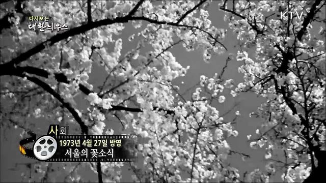 다시보는 대한늬우스 (73.04.27)