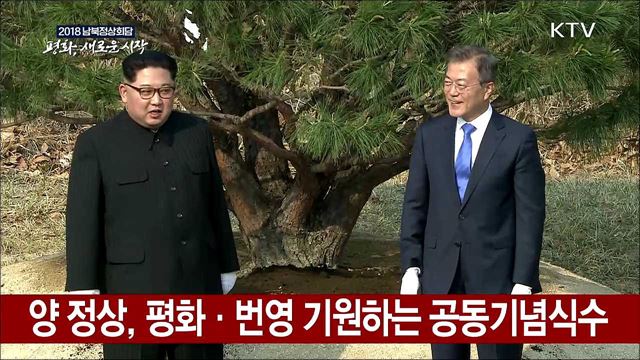 양 정상, 평화·번영 기원하는 공동기념식수