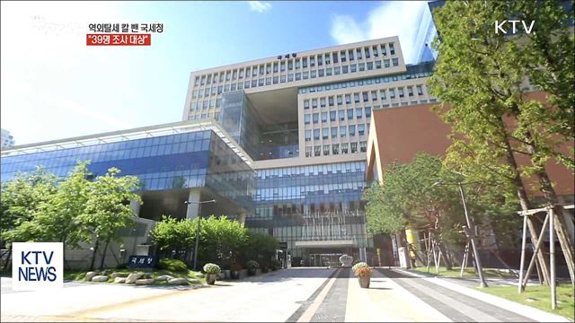 재산 해외에 '꽁꽁'…국세청, 역외탈세 세무조사