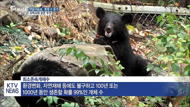 반달가슴곰 개체 수 증가… 지역사회 공존 추진