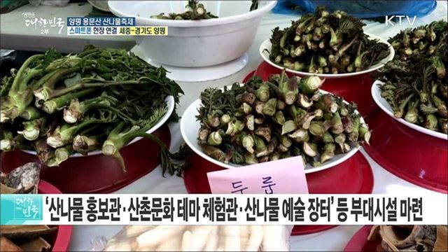 제철나물은 보약! 양평 용문산 산나물축제