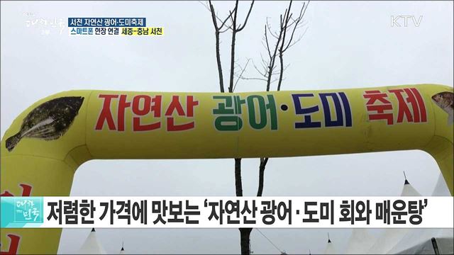 멋과 맛의 향연! 서천 자연산 광어·도미축제 