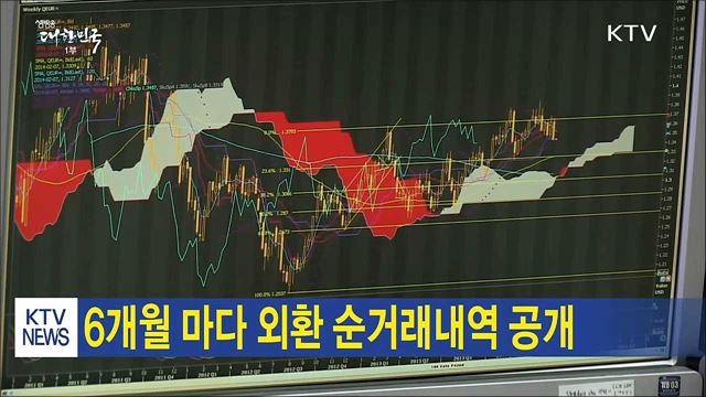 6개월 마다 외환 순거래내역 공개