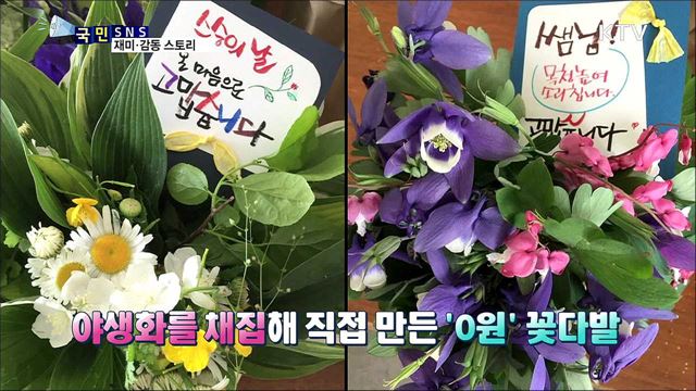 스승의 날, 마음 가득 '0원' 카네이션