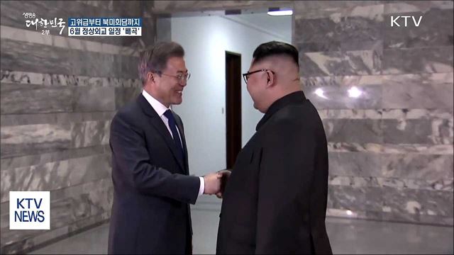 6월 '릴레이 회담'···"남북고위급회담 준비 중"