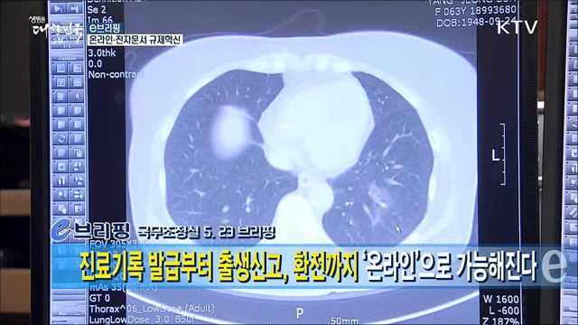 온라인·전자문서 규제혁신 [e 브리핑]