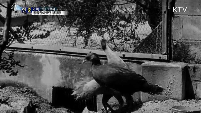 슬픈 역사···동물원이었던 창경궁