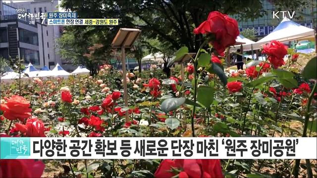 공연과 체험이 함께하는 ‘원주 장미축제’