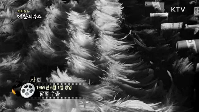 다시보는 대한늬우스 (69.06.01)