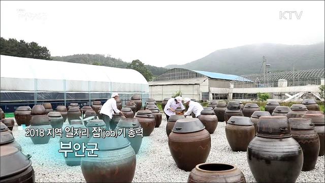 2018지역 일자리 잡(job)기 총력 부안군 [일자리가 희망이다]