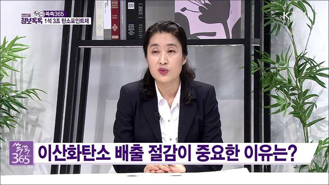 1석 3조 탄소포인트제