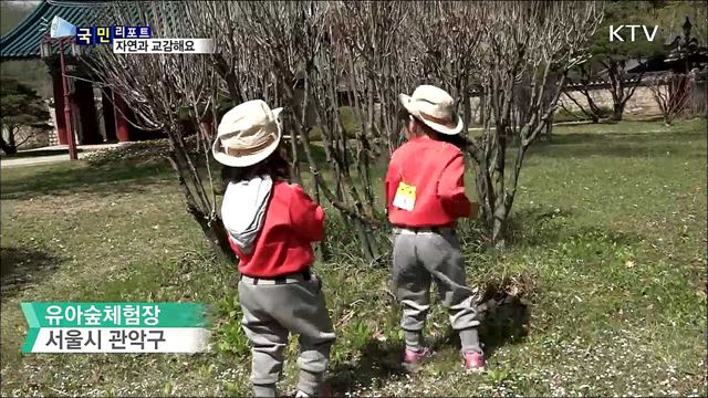 자연 속에서 배워요…유아숲 체험장 인기