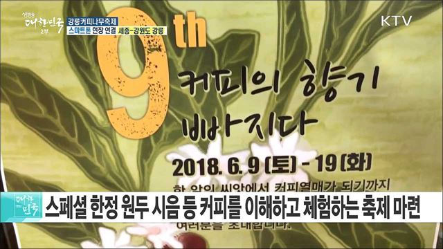 세계 커피문화를 한자리에 강릉커피나무축제
