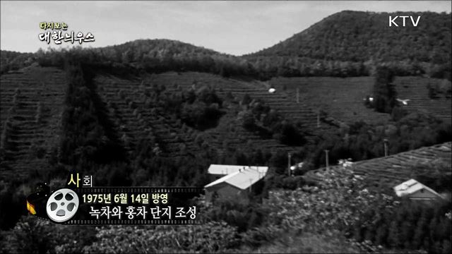 다시보는 대한늬우스 (75.06.14)