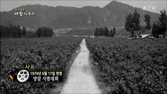 다시보는 대한늬우스 (74.06.17)