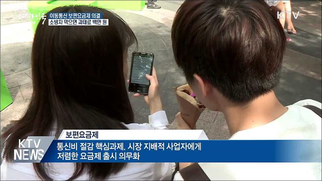 이동통신 보편요금제 국무회의 의결