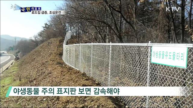 국도 로드킬 급증 시기···조심 운전이 필수
