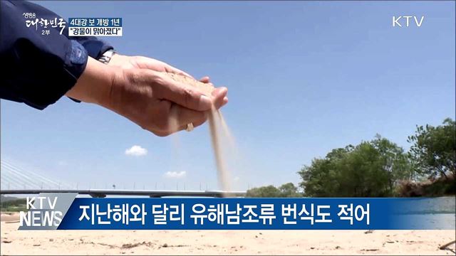 4대강 보 개방 1년···"강물이 맑아 졌다"