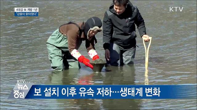 4대강 보 개방 1년···"강물이 맑아졌다"