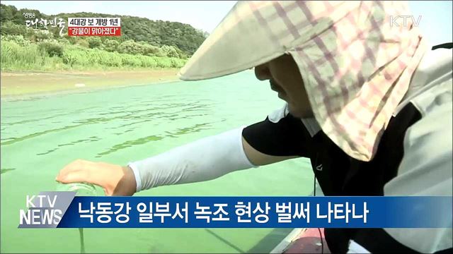 4대강 보 개방 1년···"강물이 맑아 졌다"