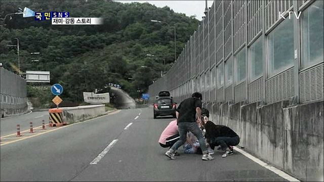 '쌩쌩' 도로에 쓰러진 노인 구한 간호사