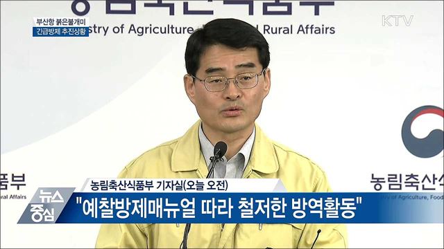 붉은불개미 긴급방제···"수입컨테이너 개장검사" [오늘의 브리핑]