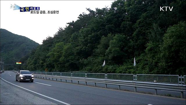 국도 로드킬 급증 시기···조심 운전이 필수
