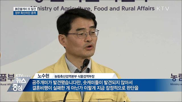 붉은불개미 또 발견···정부 확산차단 총력