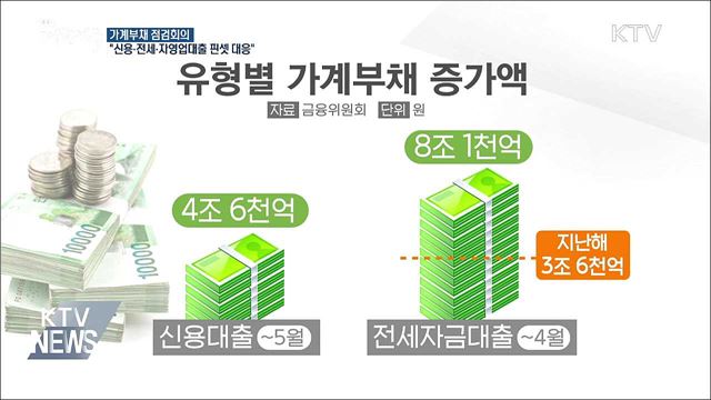 "신용·전세·자영업대출 핀셋 대응"
