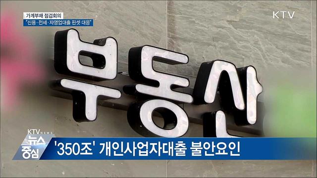 "신용·전세·자영업대출 핀셋 대응"