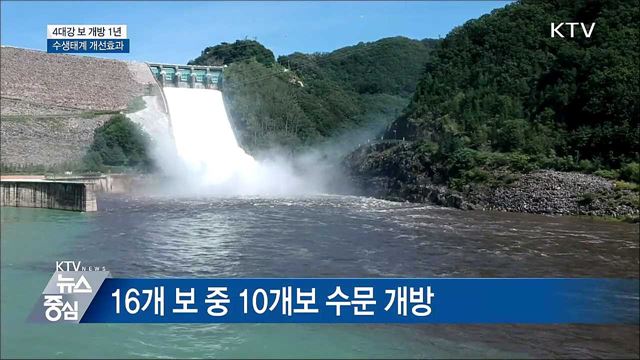 KTV 뉴스중심 (10회)