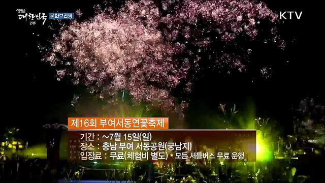 천 만 송이 연꽃의 향연···‘부여서동연꽃축제’ 개막 [문화 브리핑]