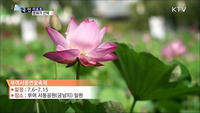 이 주의 문화가 산책 