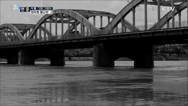 장마철 물난리···집도 소도 둥둥