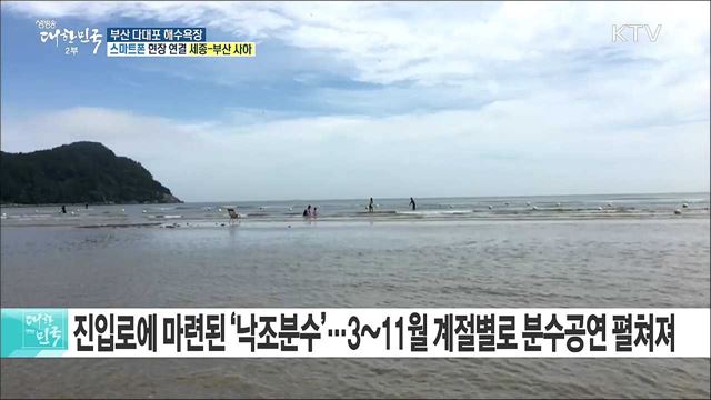 해양수산부 선정 으뜸해수욕장! 풍부한 즐길거리 '부산 다대포 해수욕장'