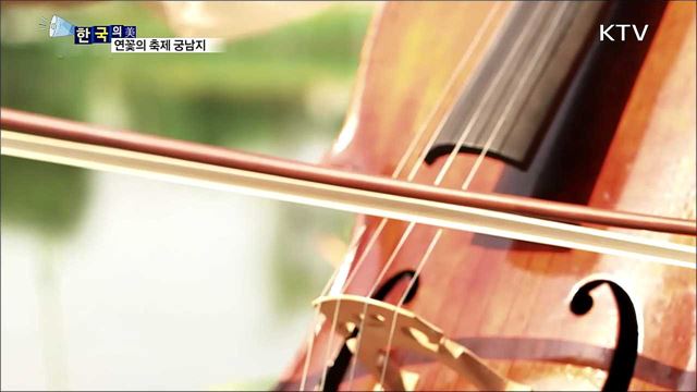 연꽃의 축제 궁남지