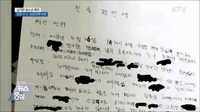도 넘는 청소년 폭력···"엄정 수사·보완대책 당부"