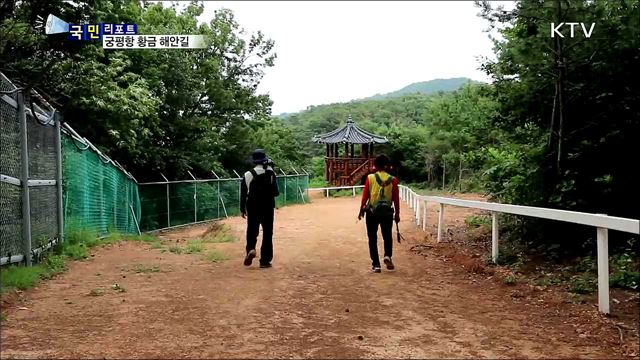 해송·갯벌·낙조 만끽···궁평항 황금 해안길