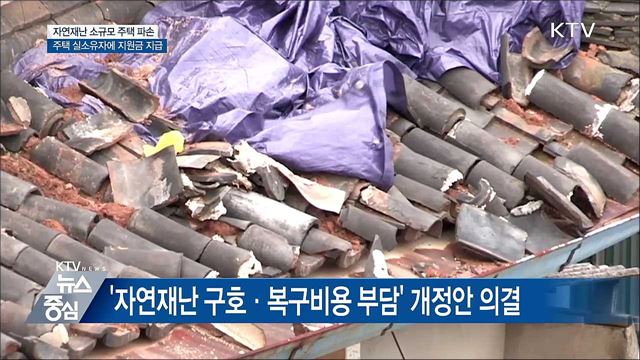 자연재난 주택 파손 지원금 실소유자에 지급