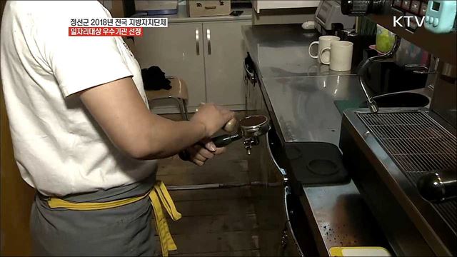 지역 맞춤형 일자리 정책 추진, 정선군